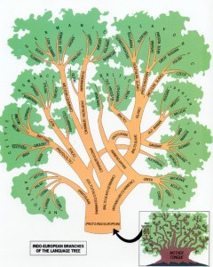 indoeuropean-language-family-tree